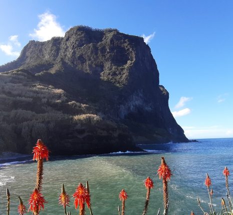 Paysage de bord d'océan à Madère dans les Baléares