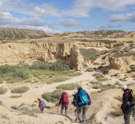 Groupe de randonneurs dans le désert des Bardenas