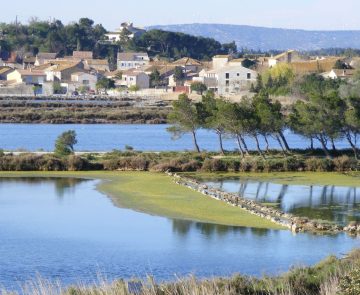 marais-avec-village-enfond Vue sur les étangs et les habitations en bord de mer.