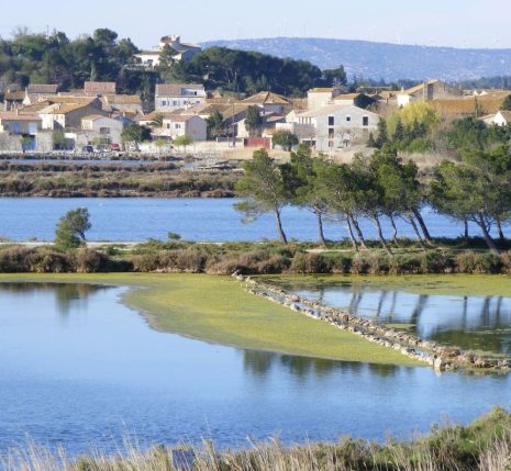 Vue sur les étangs et les habitations en bord de mer.
