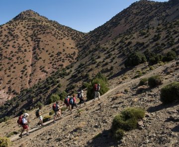 groupe de randonneurs avec leur guide sur un sentier en train de monter le toubkal