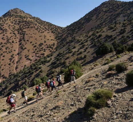groupe de randonneurs avec leur guide sur un sentier en train de monter le toubkal