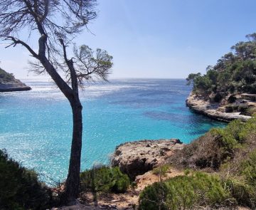 Point de vue sur la cala Trebaluger
