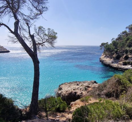 Point de vue sur la cala Trebaluger