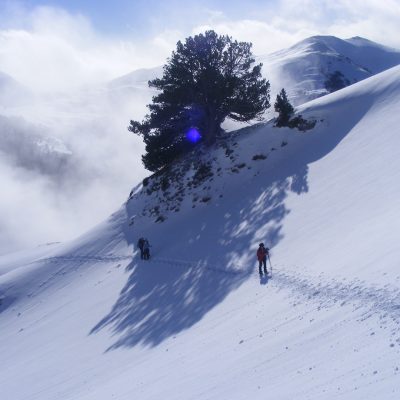 Groupe de randonneurs en raquettes avec leur guide à flanc de montagne dans la zone de la commune de Montgarri lors d'un séjour en raquette pour le nouvel an