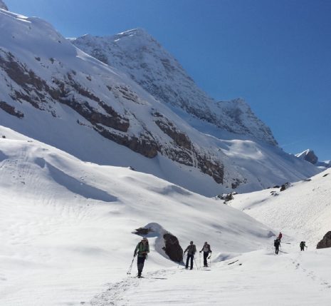 Groupe de randonneurs sur un sentier de randonnée en raquettes avec leur guide à Gavarnie