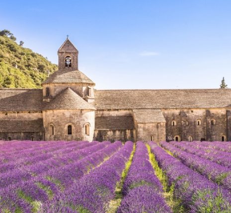 Paysage coloré du Luberon dans le village de Roussillon, on y voit un champ de lavande au premier plan et l'abbaye de Sénanque à l'arrière
