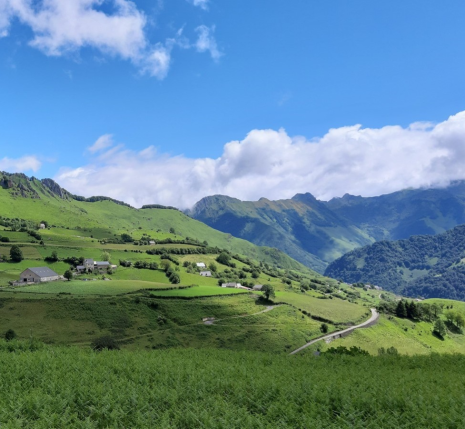 pays-basque-sur-les-hauteurs-0004-ok-2