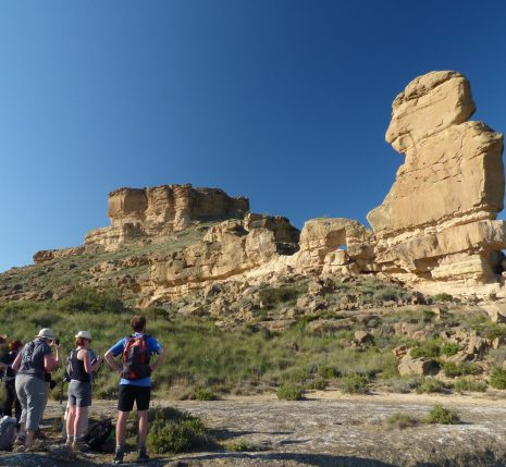 Groupe de personnes devant la vue lors de randonnée entre Monegros et la Sierra de Guara