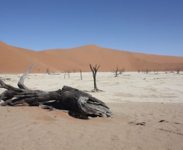 Paysage du désert de Namibie avec différentes couleurs en fonction des plans
