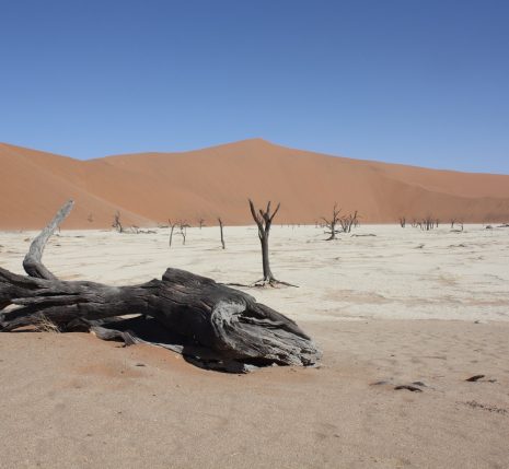 Paysage du désert de Namibie avec différentes couleurs en fonction des plans