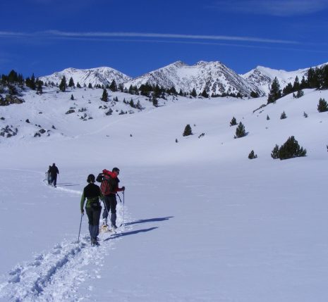 pyrenees-orientales-reveillon Groupe de randonneurs avec leur guide sur un sentier de randonnée en raquettes dans les Pyrénées orientales