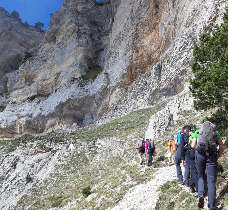 radno-bien-etre-chartreuse Groupe de randonnée avec leur guide dans le parc de la Chartreuse