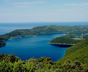 Paysage du littoral en Croatie avec la baie entièrement recouverte d'arbres