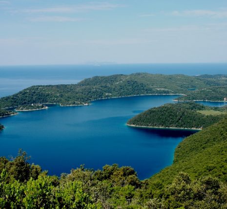Paysage du littoral en Croatie avec la baie entièrement recouverte d'arbres