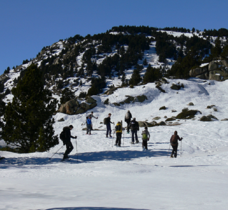Groupe de randonneurs sur un sentier de randonnée en raquettes