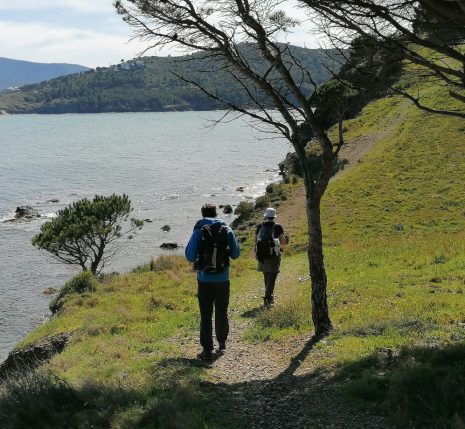 Randonneurs avançant sur un sentier côtier entouré de végétation lors d'une randonnée entre Collioure et Cadaques non accompagnés