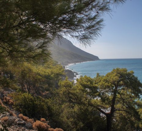 Paysage de randonnée en bord de mer avec des arbres, prise de vue depuis un sentier sur les hauteurs
