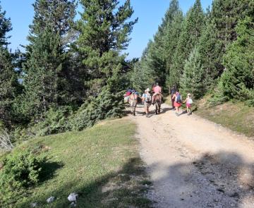 Groupe familiaux en train de faire une randonnée avec des ânes sur un chemin de montagne