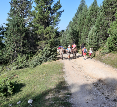 Groupe familiaux en train de faire une randonnée avec des ânes sur un chemin de montagne