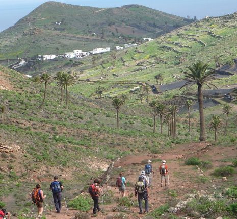 groupe de randonneurs sur un sentier dans les caries, sentier de terre encadré de palmiers et de montagnes au loin