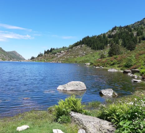 Lac de montagne avec paysage ensoleillé encadré de sommets