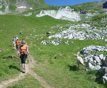 randonnee-traversee-aravis-liberte Groupe de randonneurs sur un sentier de randonnée en liberté lors de la traversée des Aravis