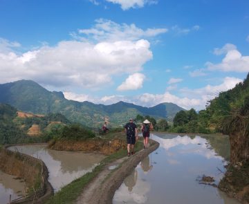 Groupe de personnes qui marchent vers les montagnes sur un sentier de terre battue encadré par des rizières.