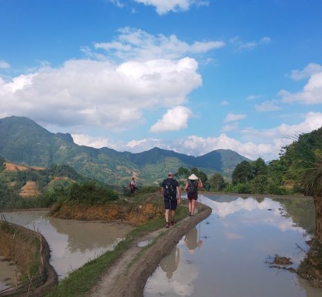 Groupe de personnes qui marchent vers les montagnes sur un sentier de terre battue encadré par des rizières.