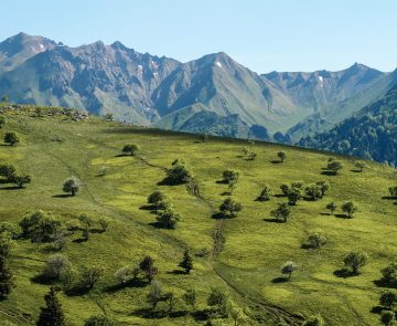 Paysage de montagne en Auvergne avec en fond des sommets et des volcans de la zone