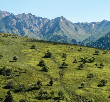 Paysage de montagne en Auvergne avec en fond des sommets et des volcans de la zone