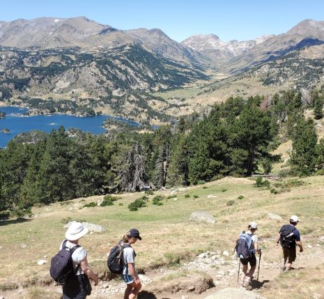 groupe de randonneurs sur un sentier avec leur guide en train de descendre un pan de la montagne
