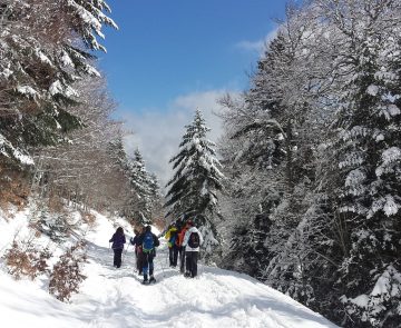 Groupe de randonneurs avec leur guide en raquettes dans le massif du Queyras