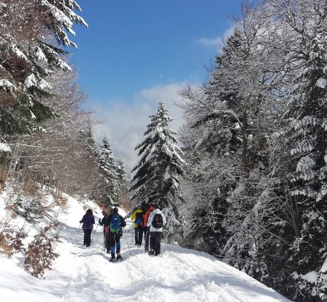 Groupe de randonneurs avec leur guide en raquettes dans le massif du Queyras