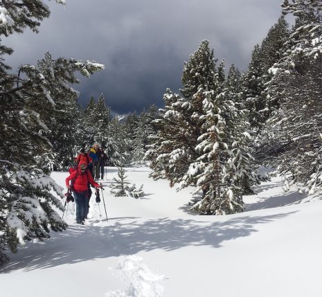 Groupe de randonneurs sur une trace en raquettes accompagné par leur guide dans le massif du Néouvielle