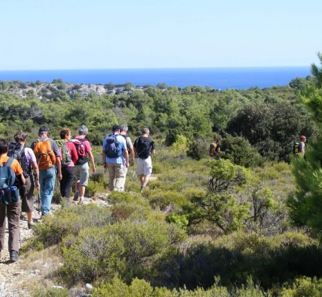 reveillon-rando-narbonne