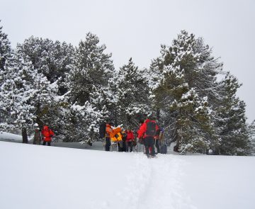 Groupe de randonneurs en raquette à travers la neige qui s'avancent vers une forêt