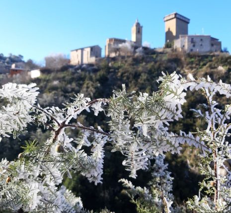 Végétation glacée par le gel en Sierra de Guara avec en fond un château