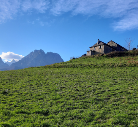 Paysage d'un plateau en montagne dans le Pays Basque avec en fond des sommets, sous un soleil d'été
