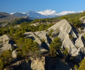paysage d'été avec des sommets parsemés dans le paysage estival du Haut Aragon