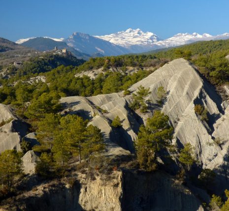 paysage d'été avec des sommets parsemés dans le paysage estival du Haut Aragon