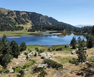 Lac de Montagne entouré de végétation et de forêt dans le Capcir