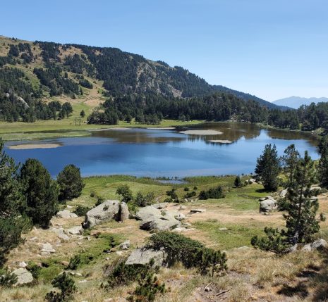 Lac de Montagne entouré de végétation et de forêt dans le Capcir