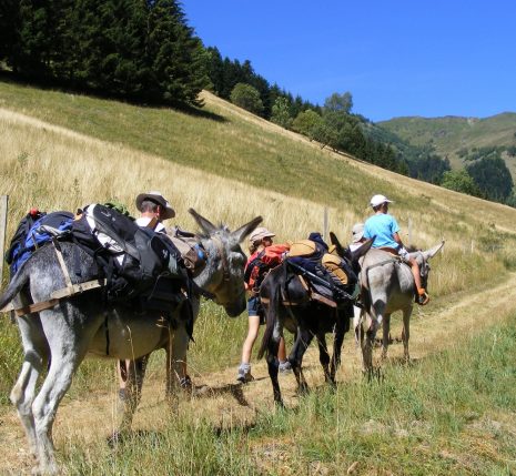 Famille avec leur accompagnateur en montagne en train de se déplacer sur un sentier en Haute-Ariège avec des ânes