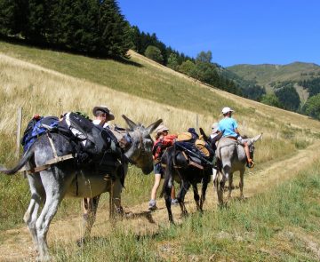 Famille avec leur accompagnateur en montagne en train de se déplacer sur un sentier en Haute-Ariège avec des ânes