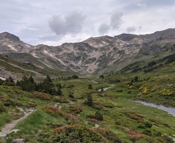 Paysage montagneux avec une plaine et des arbres, ainsi que les sentiers du GR 10 et en fond des sommets