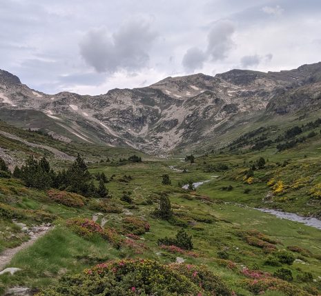 Paysage montagneux avec une plaine et des arbres, ainsi que les sentiers du GR 10 et en fond des sommets