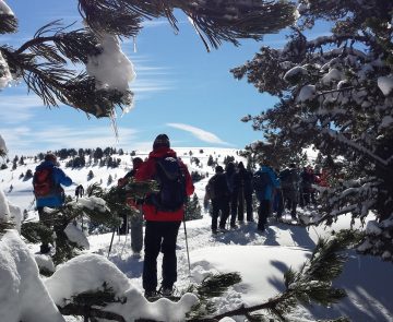 Groupe de randonneurs sur un sentier de randonnée en raquettes avec leur guide, lors d'un séjour de randonnée en raquettes au pied du pic du midi de Bigorre