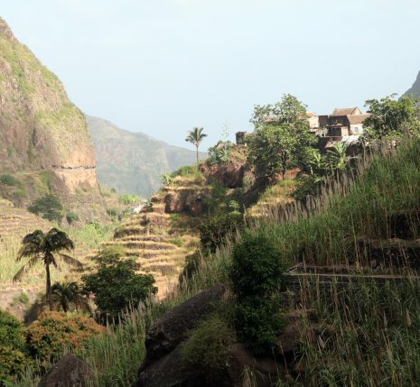 Paysage tout suspendu avec des maisons et des constructions à flanc de montagne ainsi qu'une structure de culture en terrasse