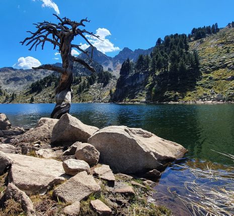 Lac de montagne encadré de sommets